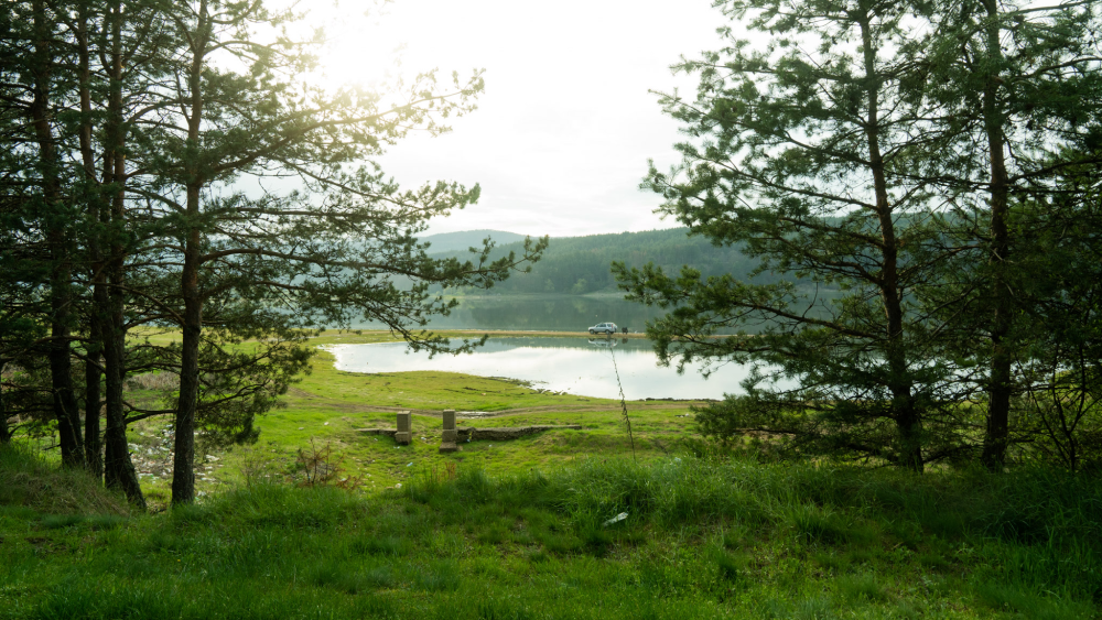 Solent Film, preview of Nature in Bulgaria (7)